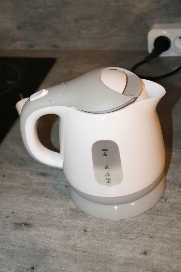 ニースLes Dauphinsアパートメント エクステリア 写真